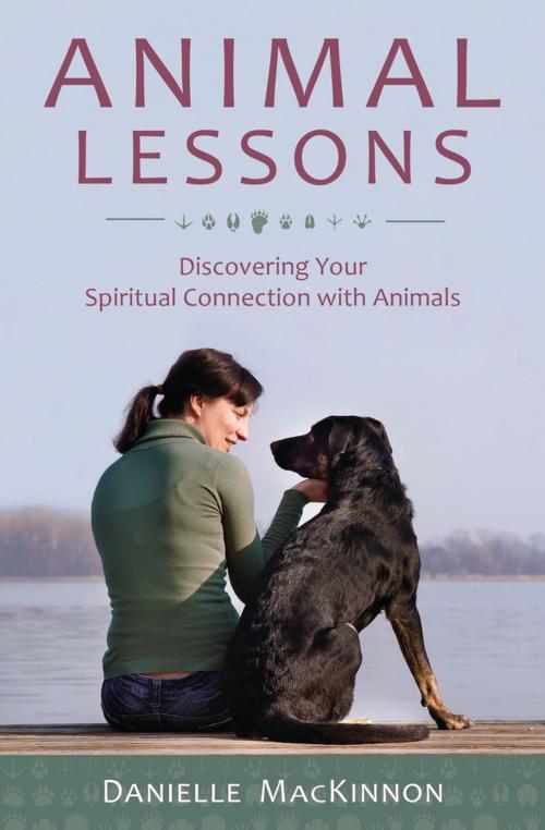 Cover of the book Animal Lessons by Danielle MacKinnon, Llewellyn Worldwide, LTD.