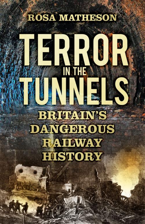 Cover of the book Terror in the Tunnels by Rosa Matheson, The History Press
