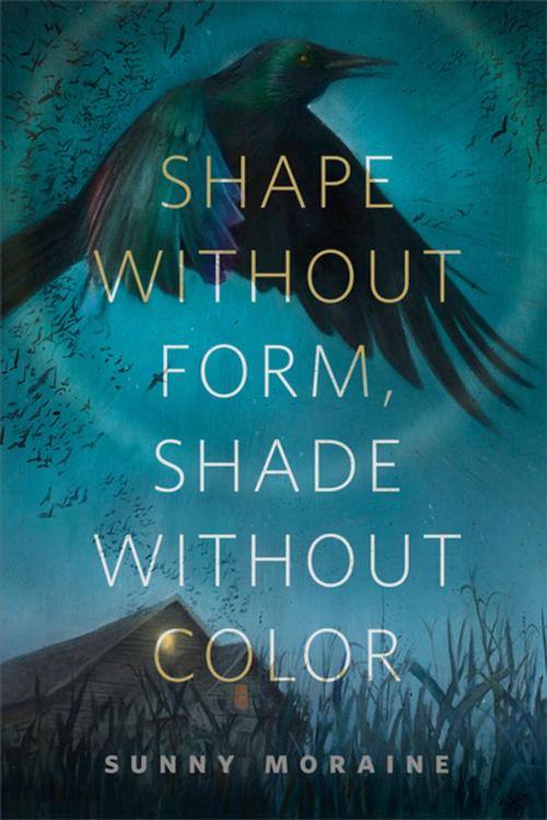 Cover of the book Shape Without Form, Shade Without Color by Sunny Moraine, Tom Doherty Associates