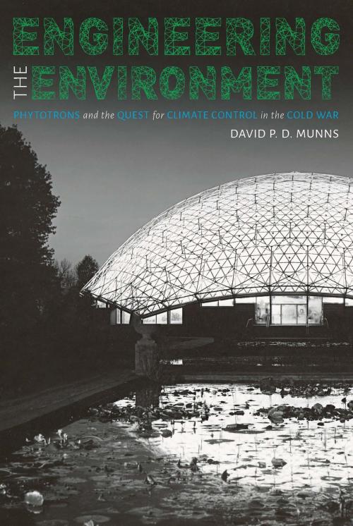 Cover of the book Engineering the Environment by David P. D. Munns, University of Pittsburgh Press