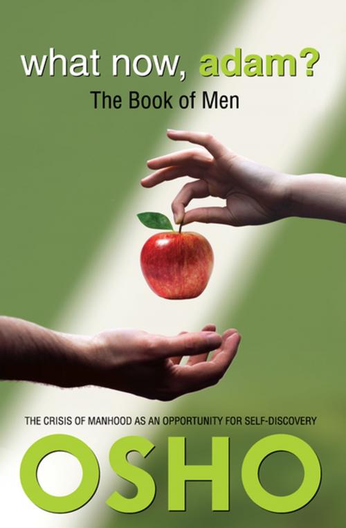 Cover of the book What Now, Adam? by Osho, Osho International Foundation, Osho International