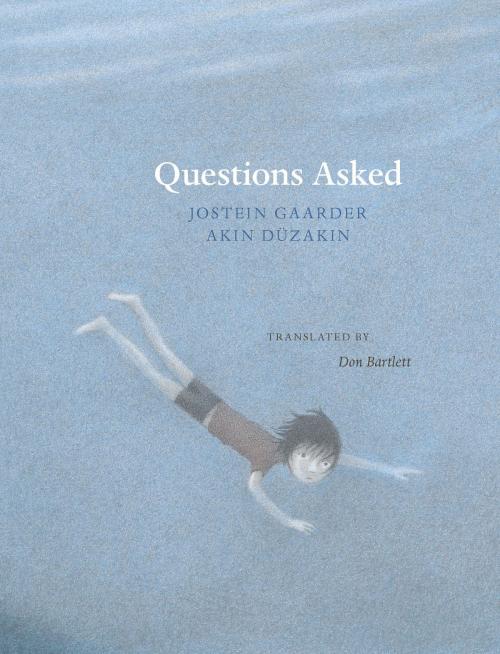 Cover of the book Questions Asked by Jostein Gaarder, Steerforth Press
