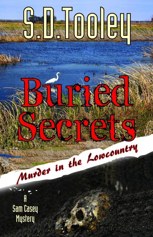 Cover of the book Buried Secrets by S.D. Tooley, Full Moon Publishing LLC