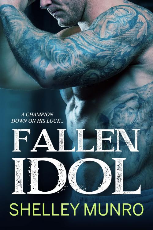 Cover of the book Fallen Idol by Shelley Munro, Munro Press