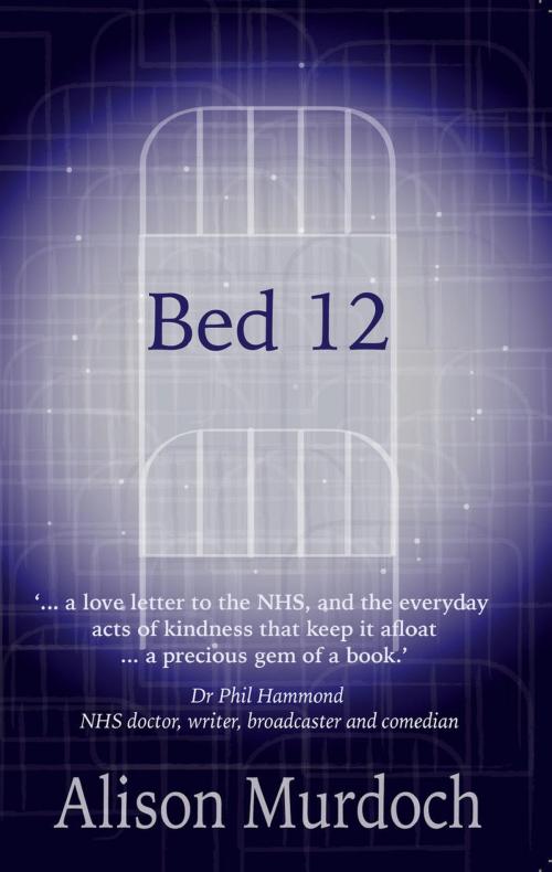 Cover of the book Bed 12 by Alison Murdoch, Hikari Press