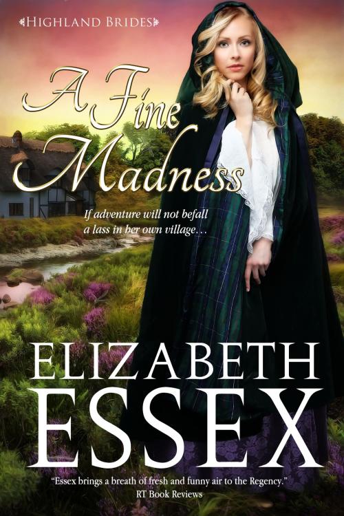 Cover of the book A Fine Madness by Elizabeth Essex, ERB Publishing