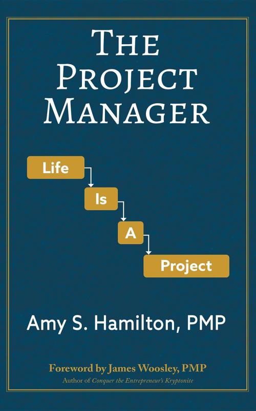 Cover of the book The Project Manager by Amy S Hamilton, Amy S Hamilton