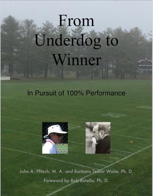 Cover of the book From Underdog to Winner: In Pursuit of 100% Performance by Barbara Teetor Waite, John A. Pfitsch, Frendship Publications