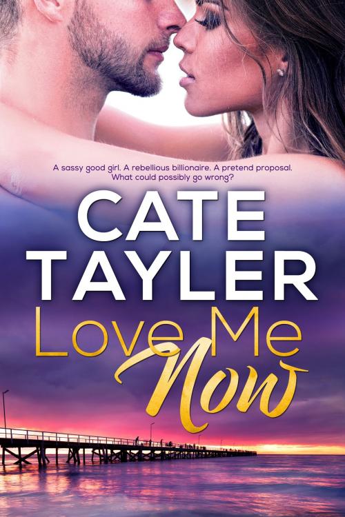 Cover of the book Love Me Now by Cate Tayler, Elephant Shoes Press
