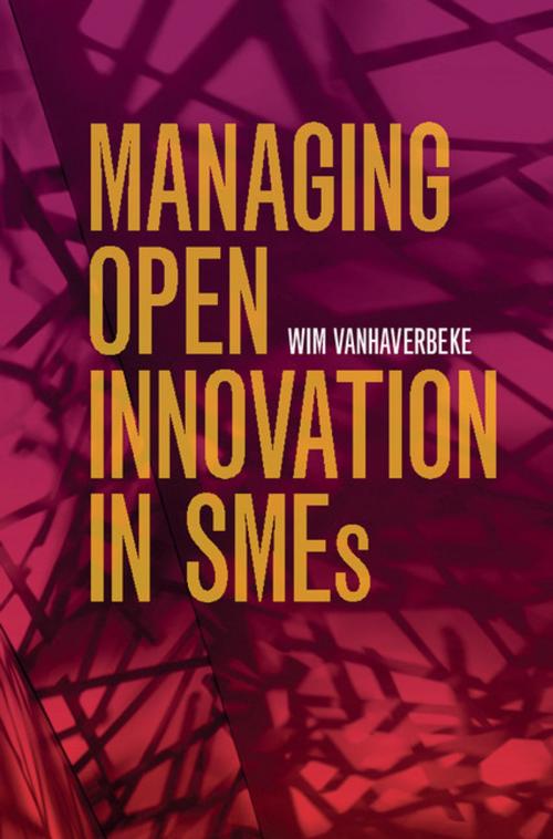 Cover of the book Managing Open Innovation in SMEs by Wim Vanhaverbeke, Cambridge University Press