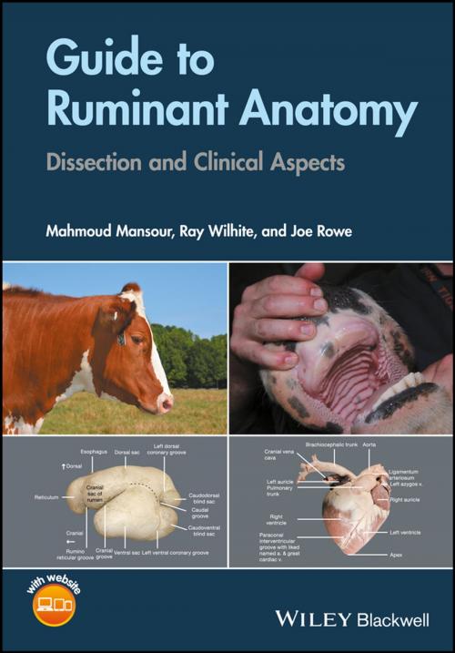 Cover of the book Guide to Ruminant Anatomy by Mahmoud Mansour, Ray Wilhite, Joe Rowe, Wiley