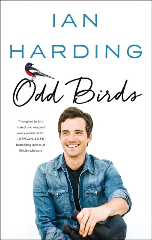 Cover of the book Odd Birds by Ian Harding, St. Martin's Press
