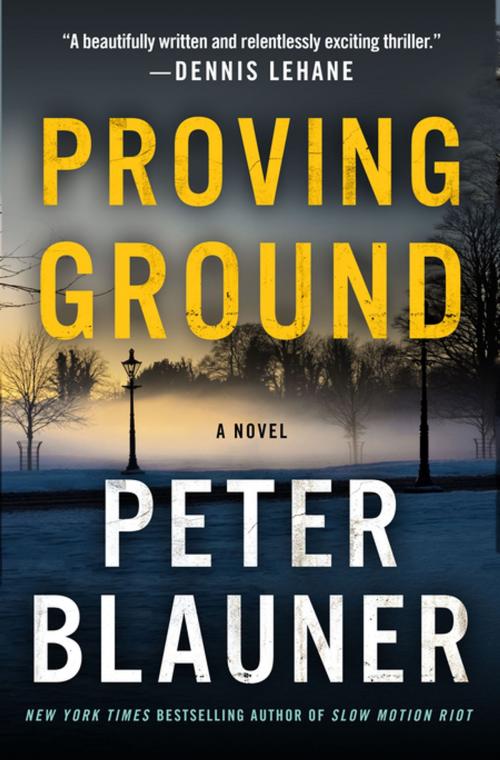 Cover of the book Proving Ground by Peter Blauner, St. Martin's Press