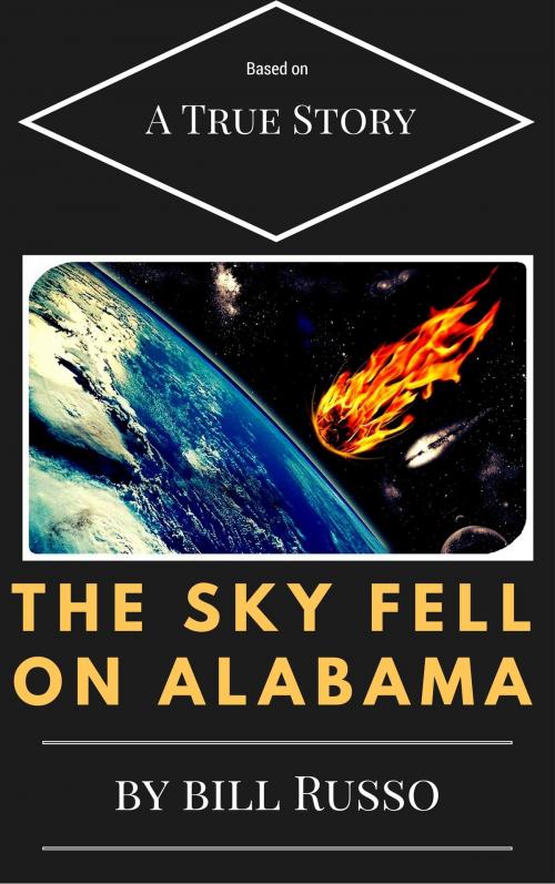 Cover of the book The Sky Fell on Alabama by Bill Russo, Bill Russo
