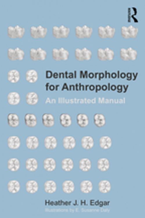 Cover of the book Dental Morphology for Anthropology by Heather J. H. Edgar, Taylor and Francis