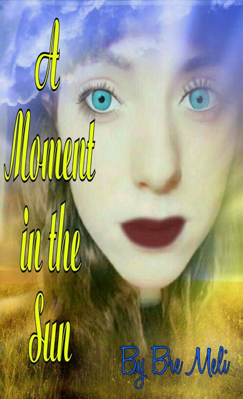 Cover of the book A Moment in the Sun by Bre Meli, Bre Meli