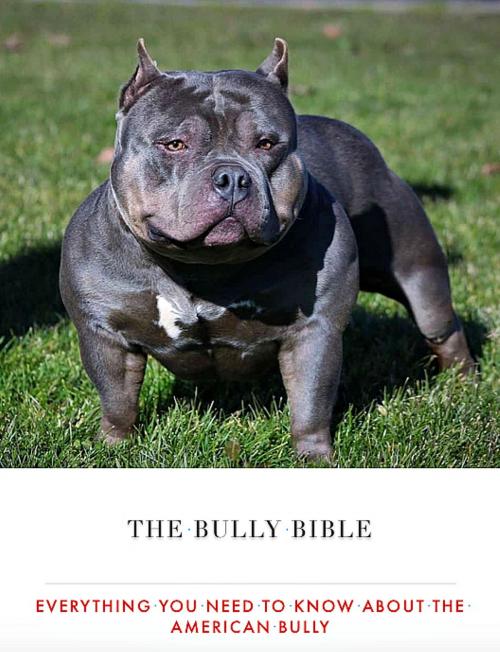 Cover of the book The Bully Bible: Everything You Need To Know About The American Bully by Bully King Magazine, Bully King Magazine