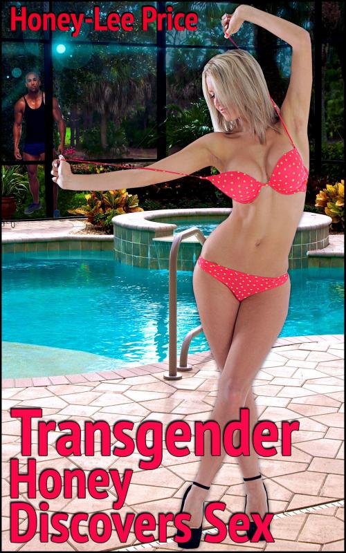 Cover of the book Transgender Honey Discovers Sex (Book 1 of "A Transgender Journey") by Honey-Lee Price, Boruma Publishing, LLC