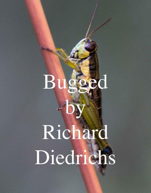 Cover of the book Bugged by Richard Diedrichs, Richard Diedrichs