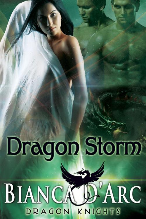 Cover of the book Dragon Storm by Bianca D'Arc, Hawk Publishing