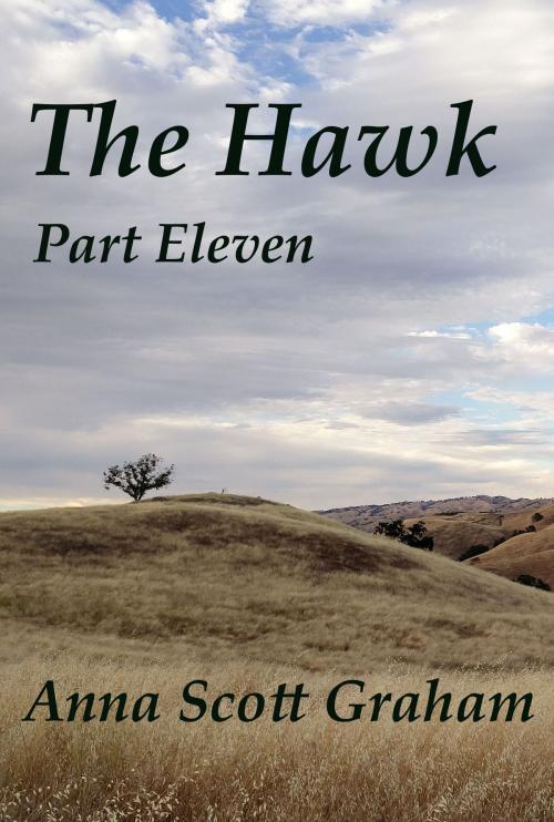 Cover of the book The Hawk: Part Eleven by Anna Scott Graham, Anna Scott Graham