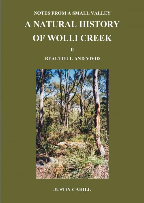Cover of the book Notes from a Small Valley A Natural History of Wolli Creek II Vivid and Beautiful by Justin Cahill, Justin Cahill