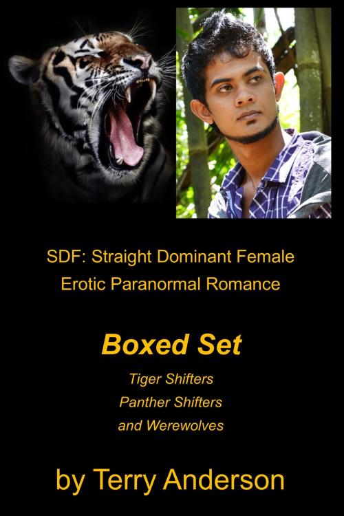 Cover of the book SDF: Straight Dominant Female Erotic Paranormal Romance Boxed Set Tiger Shifters, Panther Shifters, and Werewolves by Terry Anderson, John Waaser
