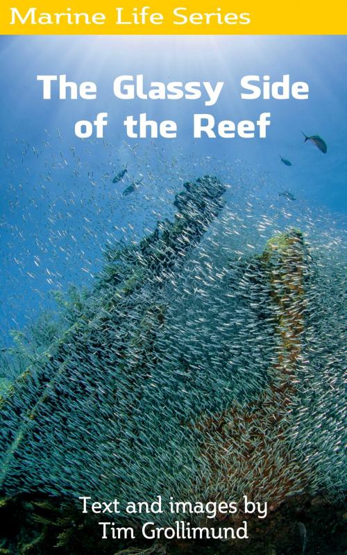 Cover of the book The Glassy Side of the Reef by Tim Grollimund, Tim Grollimund
