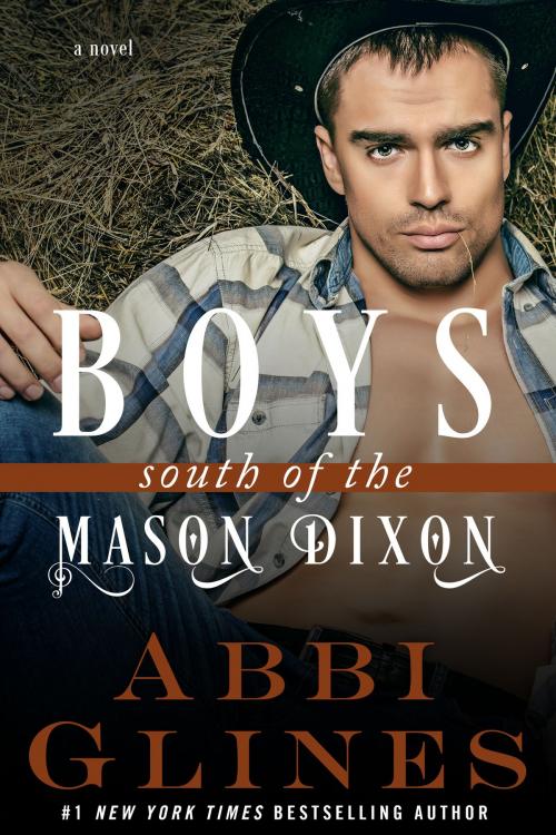 Cover of the book Boys South of the Mason Dixon by Abbi Glines, Abbi Glines