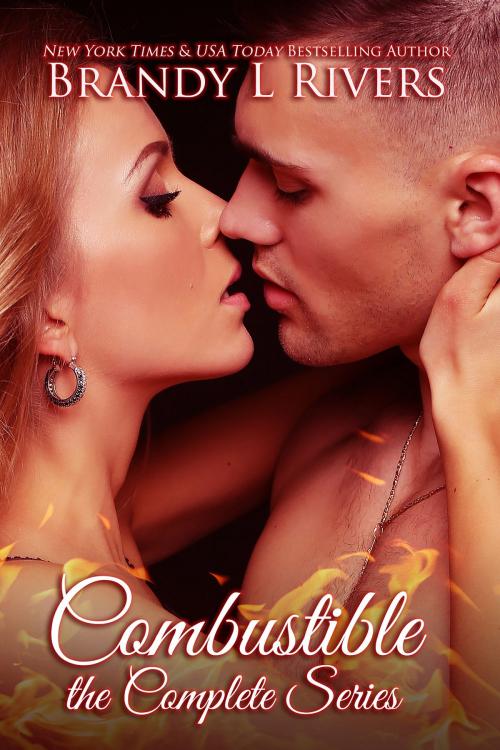 Cover of the book Combustible by Brandy L Rivers, Brandy L Rivers