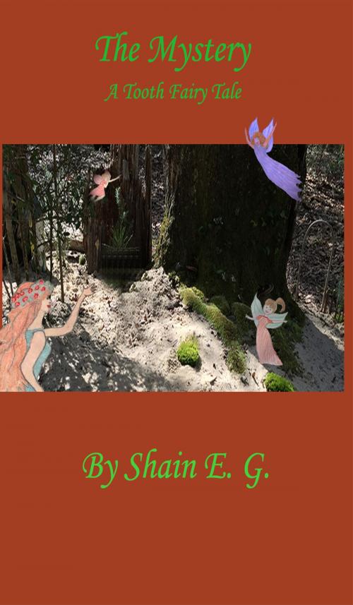 Cover of the book The Mystery: A Tooth Fairy Tale by Shain E. G., Shain E. G.