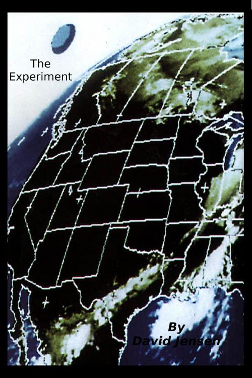 Cover of the book The Experiment by David Jensen, David Jensen
