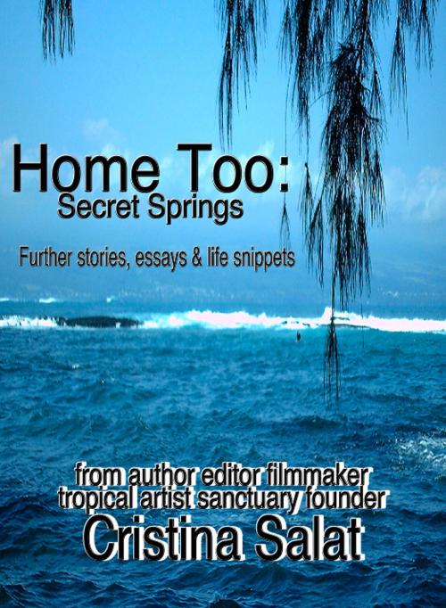 Cover of the book Home Too: Secret Springs by Cristina Salat, Cristina Salat