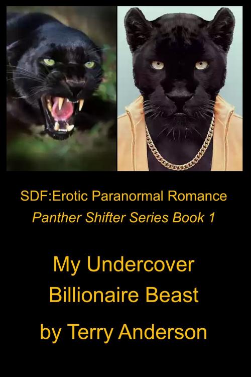 Cover of the book SDF: Straight Dominant Female Erotic Paranormal Romance My Undercover Billionaire Beast by Terry Anderson, John Waaser