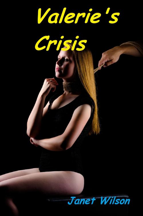 Cover of the book Valerie's Crisis by Janet Wilson, Janet Wilson