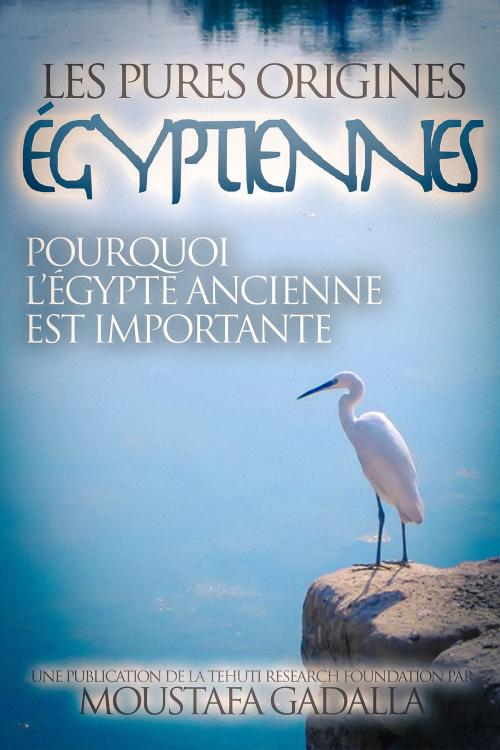 Cover of the book Les Pures Origines Égyptiennes: Pourquoi l’Égypte Ancienne est Importante by Moustafa Gadalla, Moustafa Gadalla