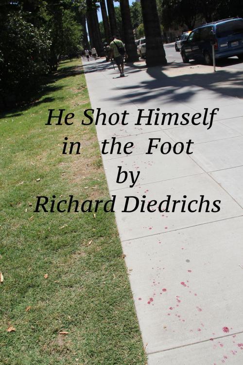 Cover of the book He Shot Himself in the Foot by Richard Diedrichs, Richard Diedrichs