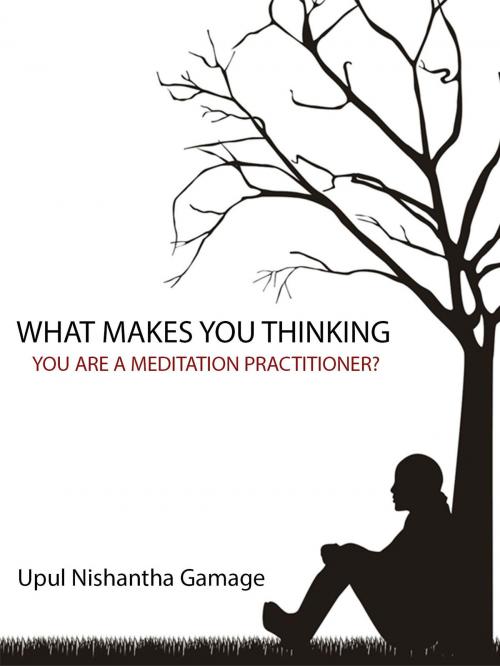 Cover of the book What Makes You Thinking You Are a Meditation Practitioner? by Upul Nishantha Gamage, Upul Nishantha Gamage