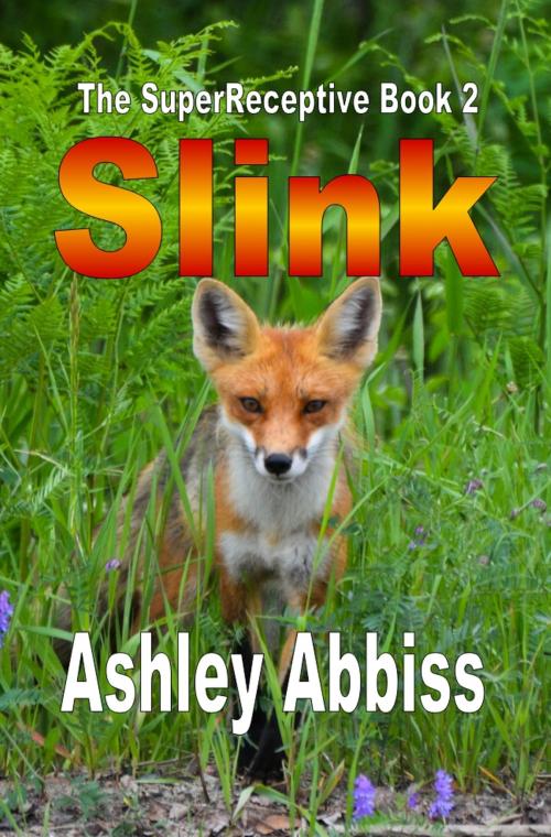 Cover of the book Slink by Ashley Abbiss, Ashley Abbiss