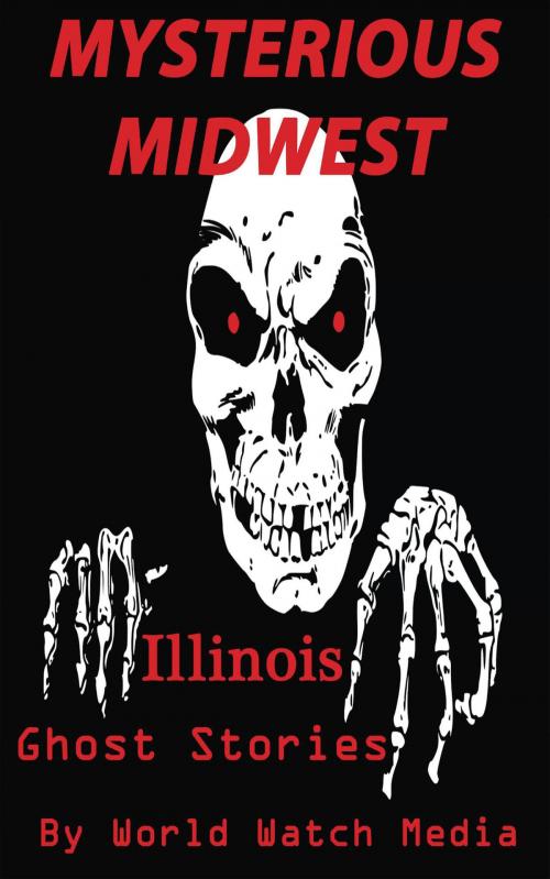 Cover of the book Mysterious Midwest: Illinois Ghost Stories by World Watch Media, Summary Station