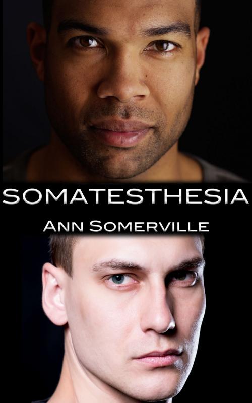 Cover of the book Somatesthesia by Ann Somerville, Ann Somerville