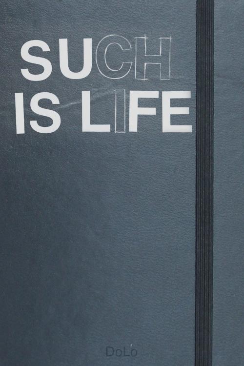Cover of the book Such Is Life by DoLo, DoLo