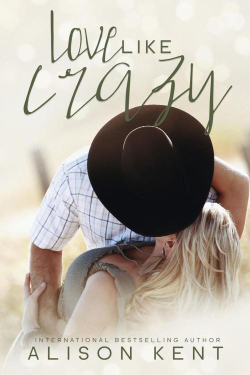 Cover of the book Love Like Crazy by Alison Kent, Rocks and Ink