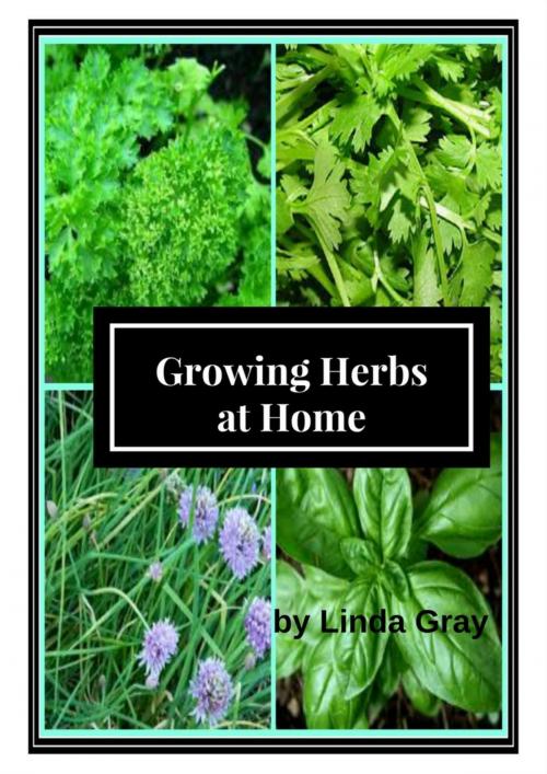 Cover of the book Growing Herbs at Home by Linda Gray, Linda Gray