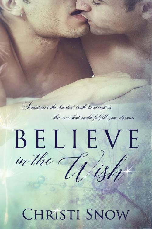 Cover of the book Believe in the Wish by Christi Snow, Christi Snow