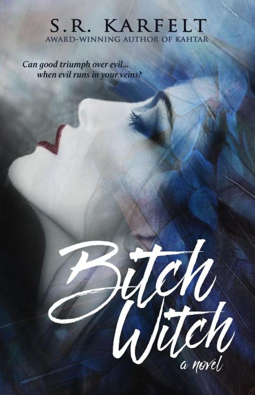 Cover of the book Bitch Witch by S.R. Karfelt, BHC Press/Asher