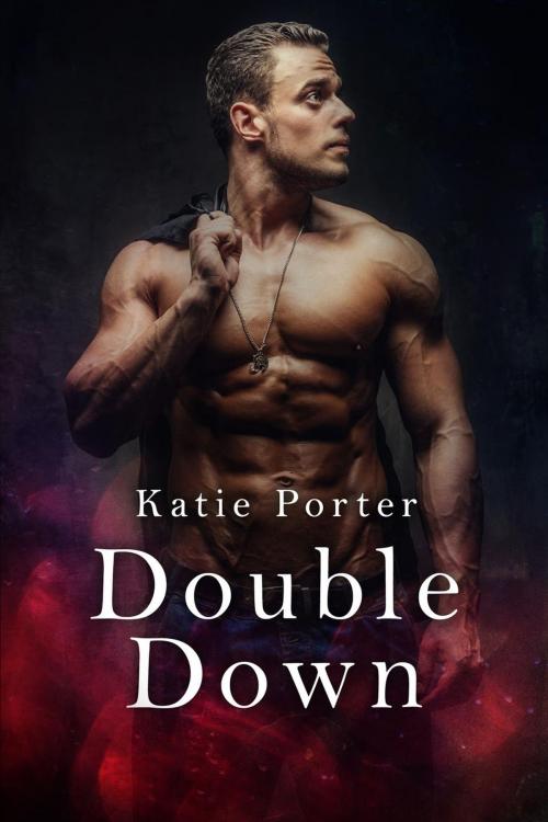 Cover of the book Double Down by Katie Porter, Lorelie Brown