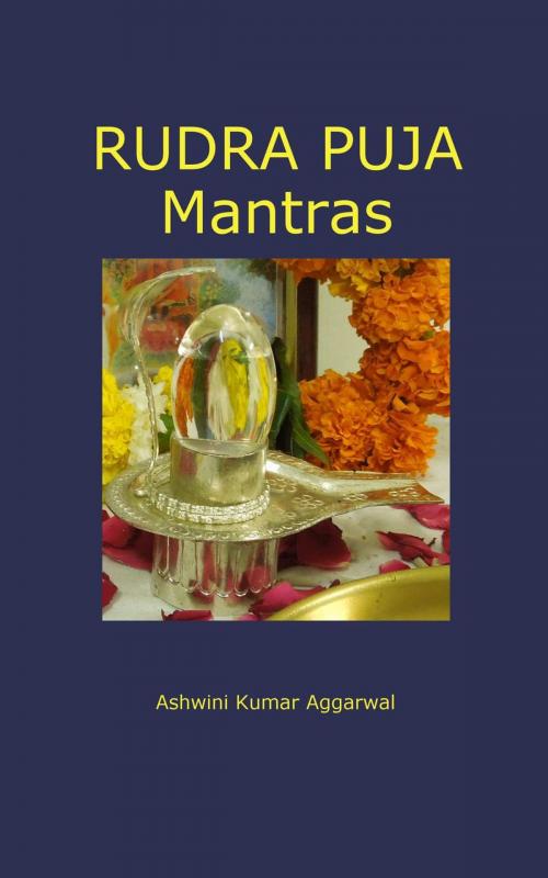 Cover of the book Rudra Puja Mantras by Ashwini Kumar Aggarwal, Devotees of Sri Sri Ravi Shankar Ashram
