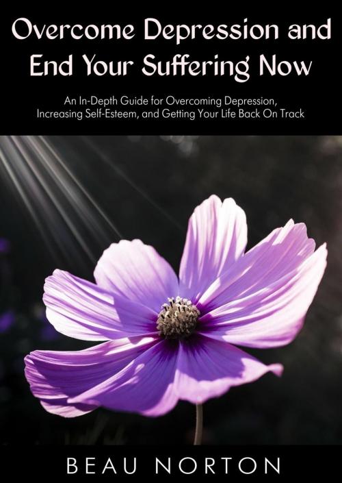 Cover of the book Overcome Depression and End Your Suffering Now: An In-Depth Guide for Overcoming Depression, Increasing Self-Esteem, and Getting Your Life Back On Track by Beau Norton, Beau Norton