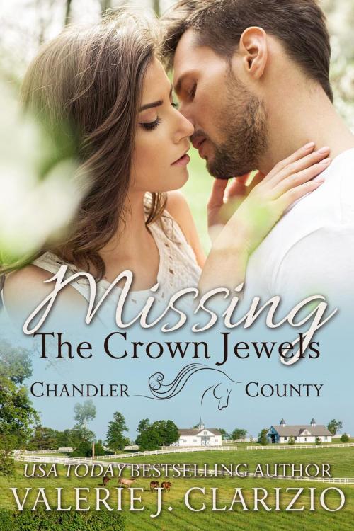 Cover of the book Missing the Crown Jewels by Valerie J. Clarizio, VJC Books
